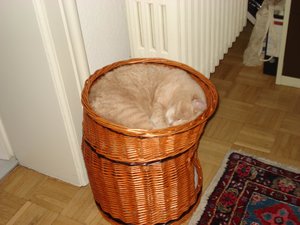 beppi und max 002.jpg