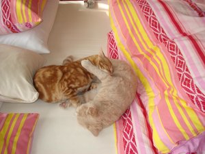 beppi und max 004.jpg