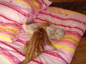 beppi und max 012.jpg