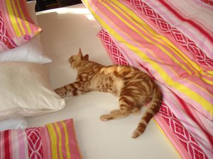 beppi und max 013.jpg