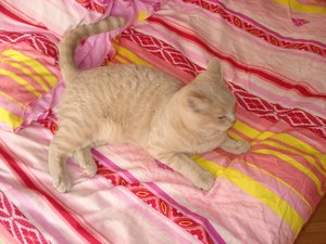 beppi und max 014.jpg