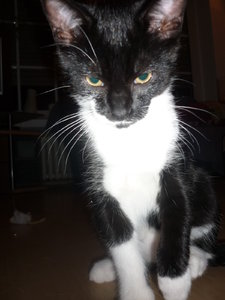 Gammelsonntag und Frisiersalon 023.jpg Gammelsonntag und Frisiersalon 023.jpg