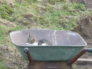 Hochterasse und Beet am Hang 037.jpg