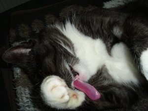 versuch nahaufnahmen 004.jpg