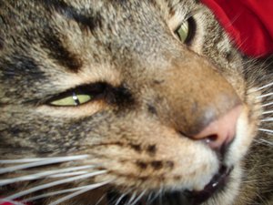 versuch nahaufnahmen 014.jpg