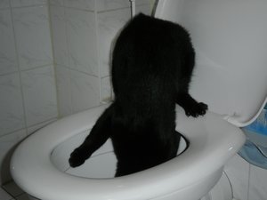 Erwin, 24.8.10 (1).jpg