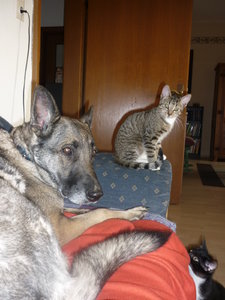 Sonntagsstimmung 001.jpg