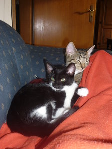 Sonntagsstimmung 006.jpg