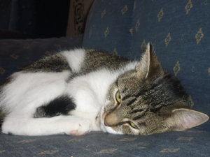 Sonntagsstimmung 013.jpg