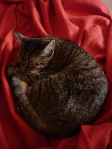 Sonntagsstimmung 014.jpg