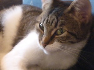 Sonntagsstimmung 019.jpg