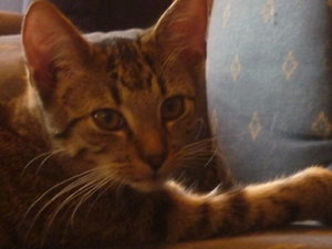 Sonntagsstimmung 020.jpg