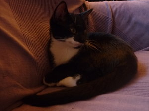 Sonntagsstimmung 027.jpg