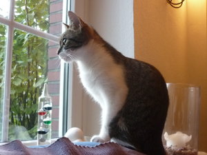 Sonntagsstimmung 029.jpg