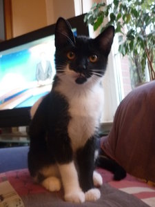 Sonntagsstimmung 026.jpg