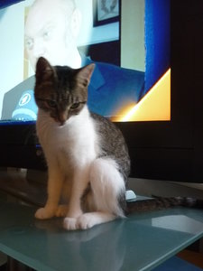 Sonntagsstimmung 023.jpg