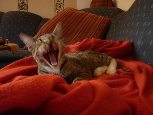 Sonntagsstimmung 031.jpg