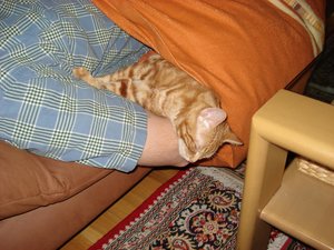 beppi mit gismo 007.jpg