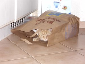 Minki, Bonny und Berry 080.jpg