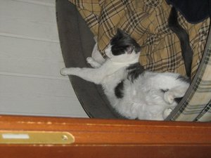 Minki, Bonny und Berry 128.jpg