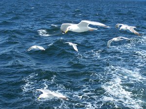 Bilder von Thomas (26).jpg