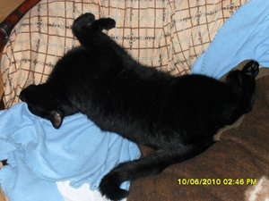 jungs 010 [800x600].jpg