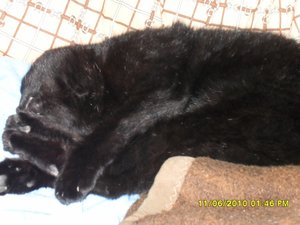 jungs 012 [800x600].jpg