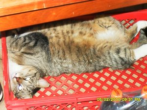 Bild4 047 [800x600].jpg