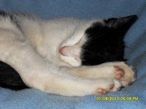 neue Mütze 019 [800x600].jpg