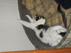 Minki, Bonny und Berry 135.jpg