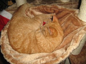 Minki, Bonny und Berry 029.jpg