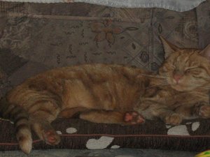 Minki, Bonny und Berry 142.jpg