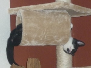 Gammelsonntag und Frisiersalon 005.jpg