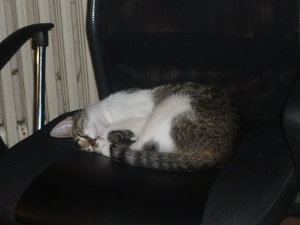 Gammelsonntag und Frisiersalon 004.jpg