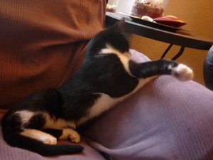 Sonntagsstimmung 028.jpg