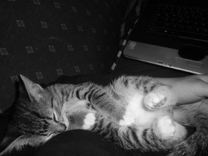 18.August 2010 005.jpg