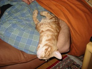 beppi mit gismo 008.jpg