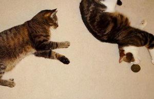 DSC02934 (640x412).jpg