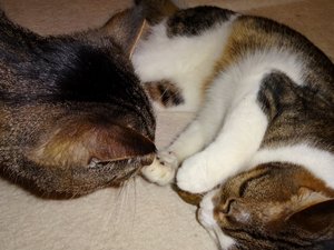 DSC02936 (640x480).jpg