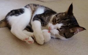 DSC03047 (640x400).jpg