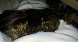 20140303_213809 (640x347).jpg