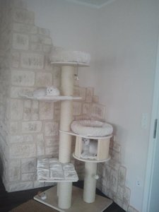 Natural Paradise.jpg