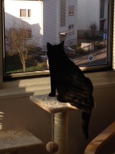 A room with a view.JPG