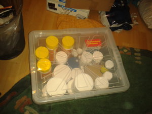 2014-03-11 22.11.17.jpg