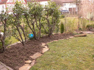 Garten, Vorarbeiten 002.JPG