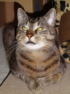 DSC02873 (480x640).jpg