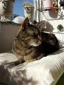 DSC03389 (480x640).jpg