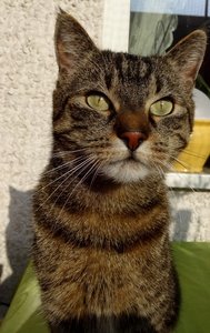 DSC03372 (403x640).jpg