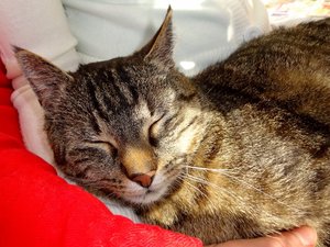 DSC03395 (640x480).jpg