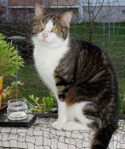 DSC03649 (534x640).jpg